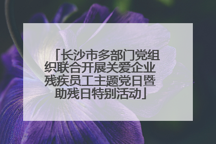 长沙市多部门党组织联合开展关爱企业残疾员工主题党日暨助残日特别活动